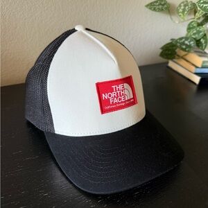The North Face Gray Flexfit Cap
